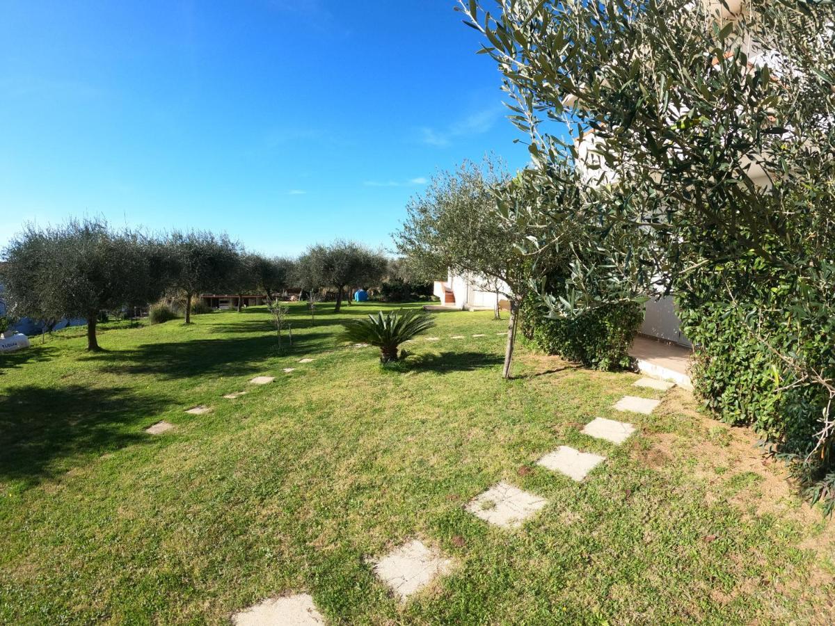 Agriturismo Seaview Capo Vaticano Eksteriør bilde