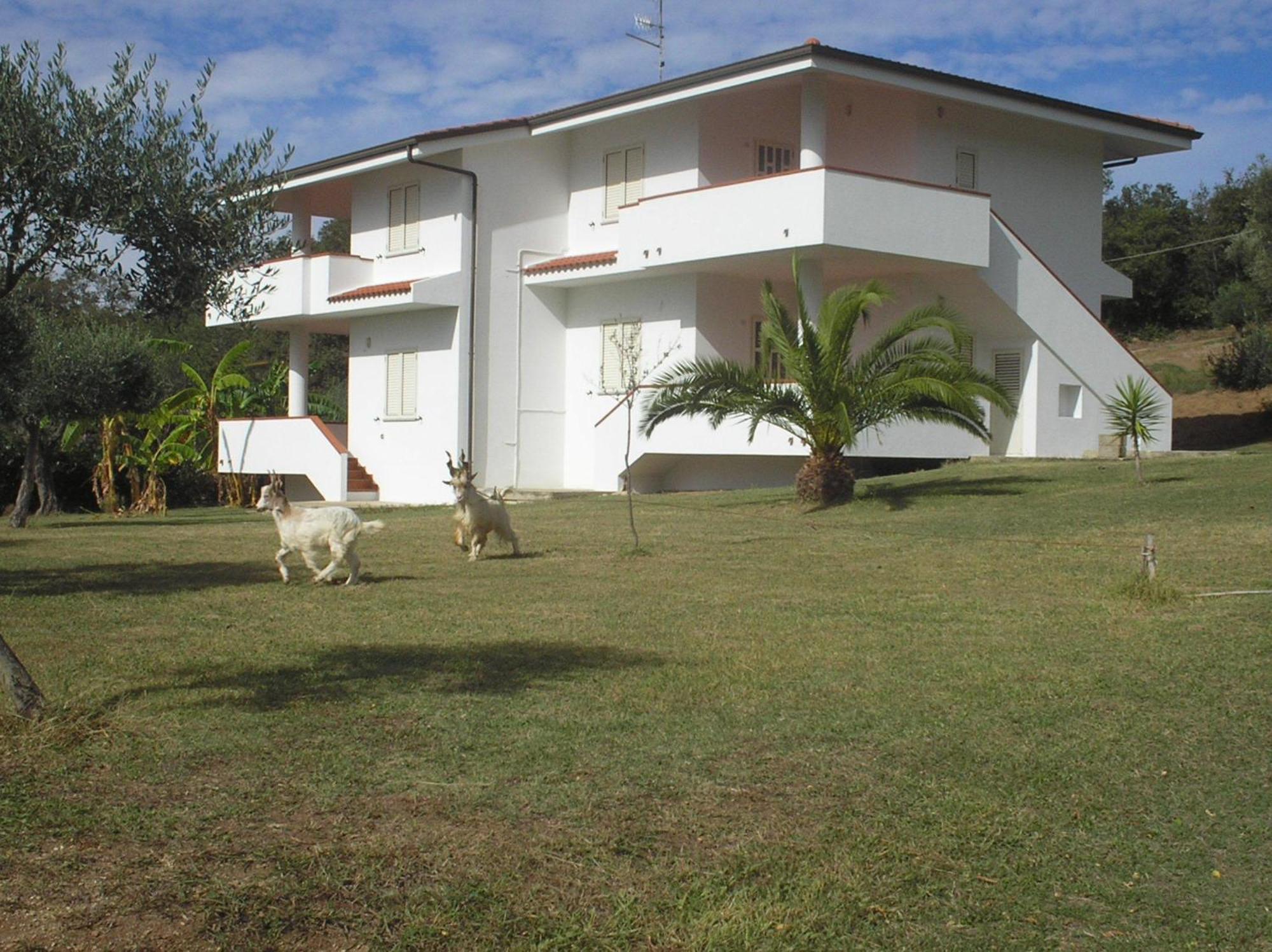 Agriturismo Seaview Capo Vaticano Eksteriør bilde